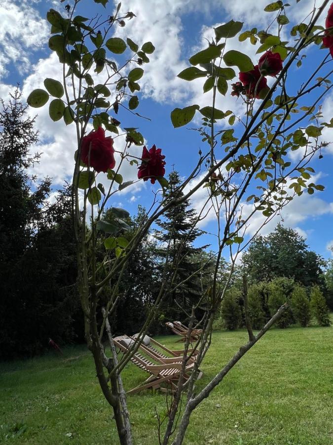 Le Petit Chateau Bed & Breakfast Baye (Marne)
